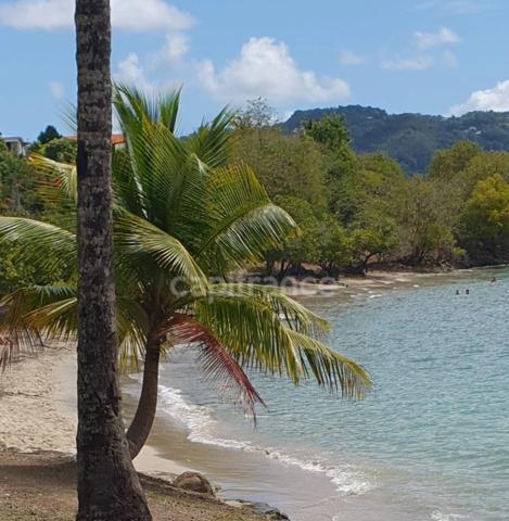 Maison à vendre 4 pièces SAINTE LUCE (972) avec jardin.