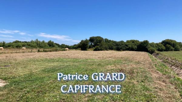 Maison à vendre 4 pièces (50)