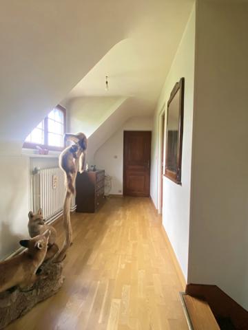 Houdan (78550) Maison 5 Pièces sur 2330m² avec piscine