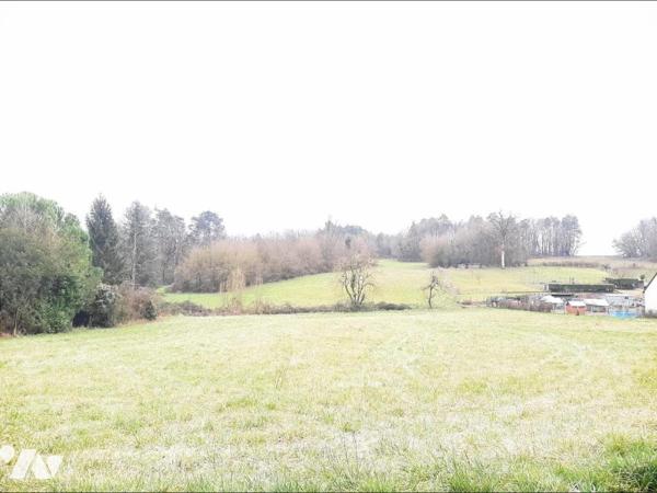 NEUIL- TERRAIN A BATIR