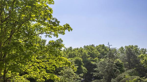 Appartement Neuilly-sur-Seine - VICTOR HUGO