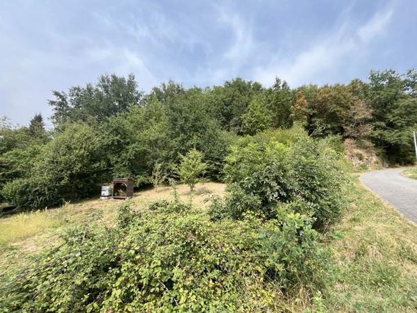 Terrain à vendre |  Beaulieu-sur-Dordogne |  6560 m²