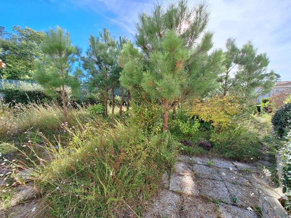 Maison 4 chambres la Tranche sur Mer