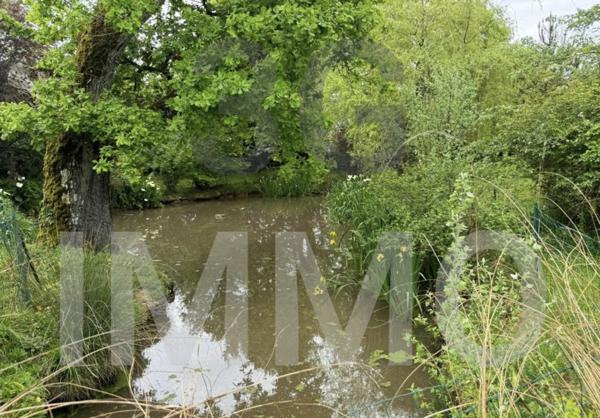 Vente / Maison de maître