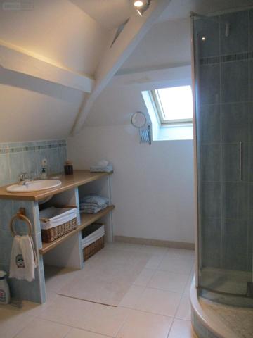 Maison de maître à vendre à Chabris dans l'Indre (36210), ref : 07