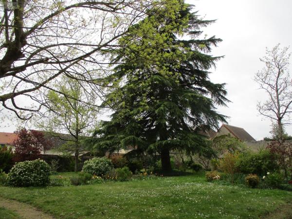 Maison de maître à vendre à Chabris dans l'Indre (36210), ref : 07