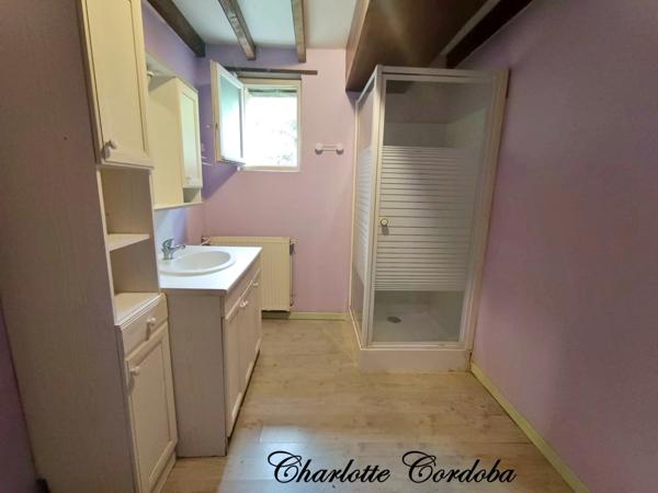 Vivez votre rêve : Ferme de caractère avec gîtes, chambres d’hôtes et potentiel incroyable à Feugarolles