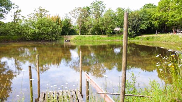 Maison à vendre en un hameau de la Chapelle-Glain