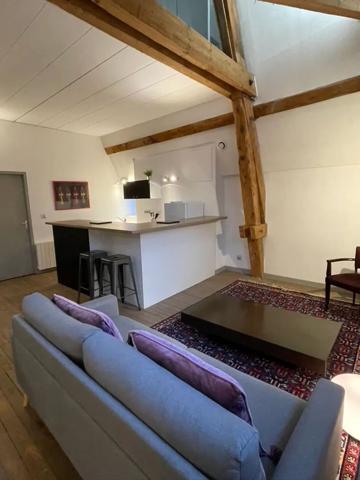 T3 duplex de caractère avec poutres apparentes aux portes de Lyon