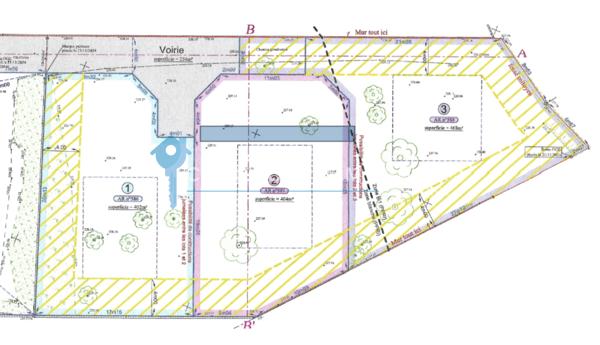 Terrain