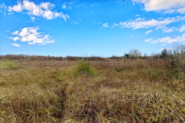 Saint-Malo Rothéneuf – Terrain constructible 548 m² proche plages