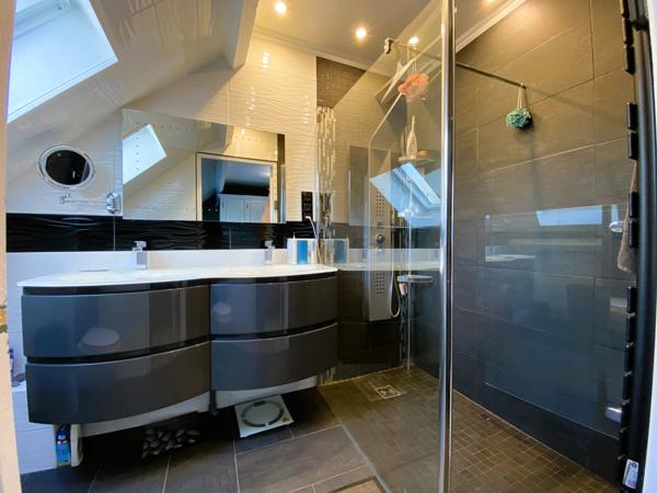 Courtenay (45320) Propriété de standing