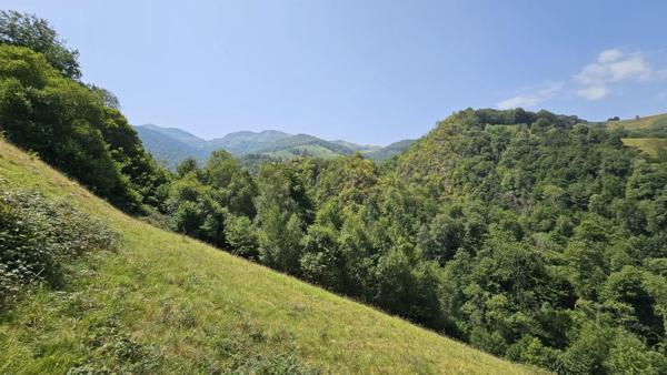 Vente / Maison en pierre à Bagnères-de-Bigorre (65200)