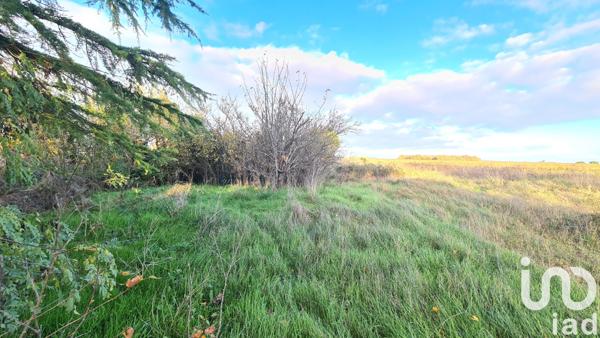 Terrain à vendre 