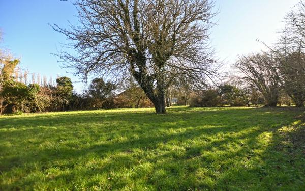 Maison à vendre    6 pièces •  Lanchères