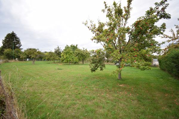 TERRAIN A BATIR VIABILISE