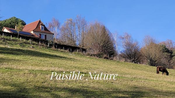 Au milieu de 5 hectares, dans un environnement sans voisins et autres nuisances. Périgourdine rénovée, grange et bergerie. 4 chambres .2 Salles d'eau. Piscine