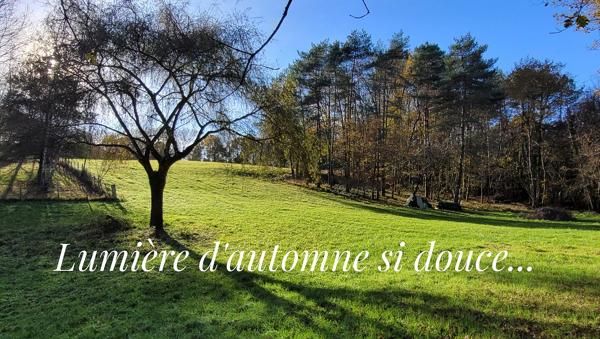 Au milieu de 5 hectares, dans un environnement sans voisins et autres nuisances. Périgourdine rénovée, grange et bergerie. 4 chambres .2 Salles d'eau. Piscine