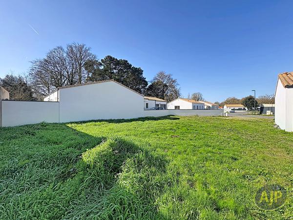 Vente terrain Challans : 65 000 € - AJP Immobilier Challans