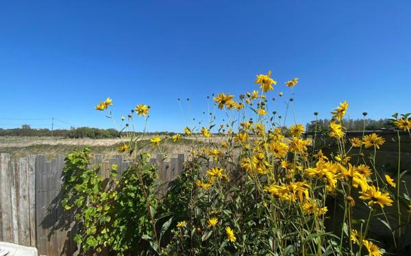 Maison à vendre    4 pièces •  Saint-Georges-d'Oléron