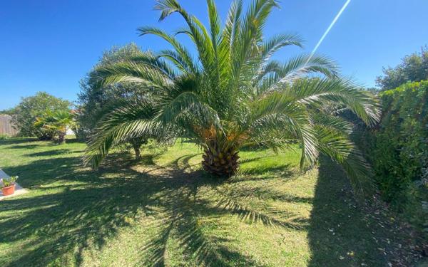 Maison à vendre    4 pièces •  Saint-Georges-d'Oléron