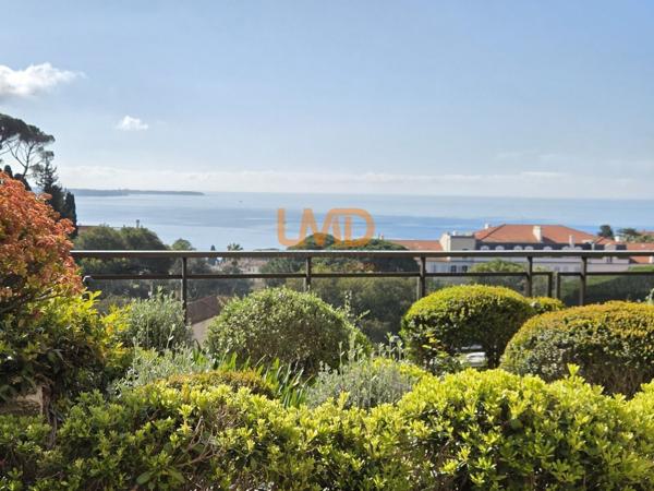 Cannes Croix-des-Gardes – Studio avec terrasse vue mer