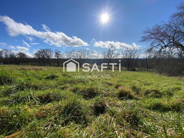 A MONTPALACH, vaste terrain à bâtir prêt à être viabilisé.