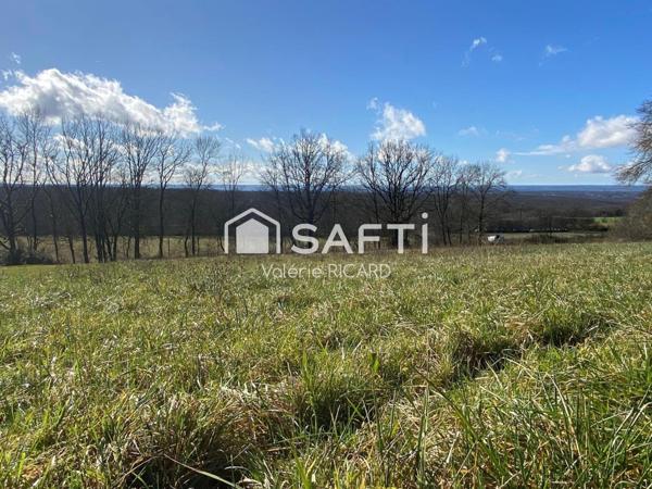 A MONTPALACH, vaste terrain à bâtir prêt à être viabilisé.