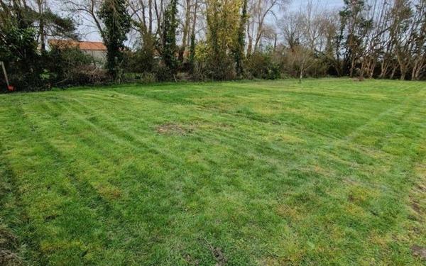 Terrain à vendre    Bois-de-Céné