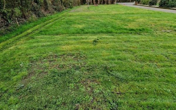 Terrain à vendre    Bois-de-Céné