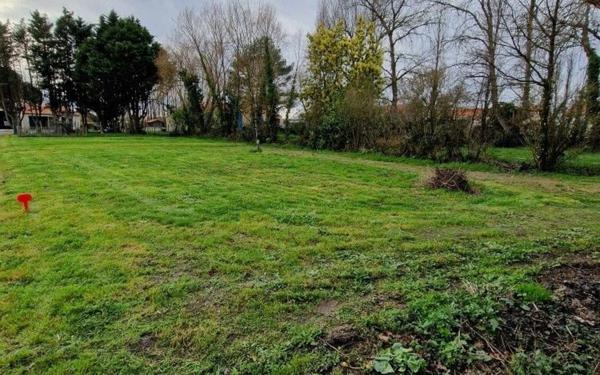 Terrain à vendre    Bois-de-Céné