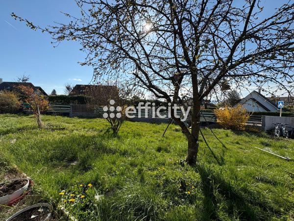Maison 5 pièces - 120 m²