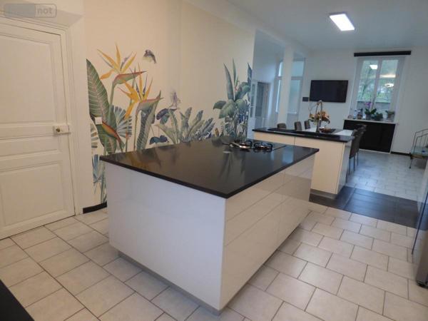 Maison à vendre à Montoire-sur-le-Loir dans le Loir-et-Cher (41800), ref : 41059-784