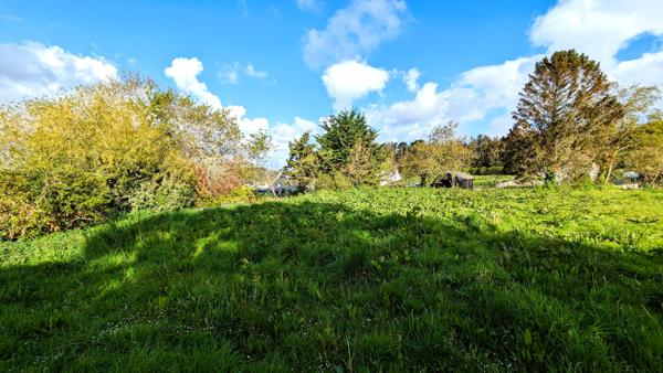 Terrain à vendre à Locquirec (29241) - Finistère