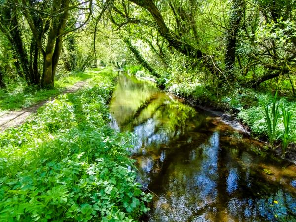 Moulin à vendre à Saint-Sauveur (29400) - Finistère