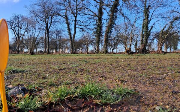 Terrain à vendre    Bain-de-Bretagne