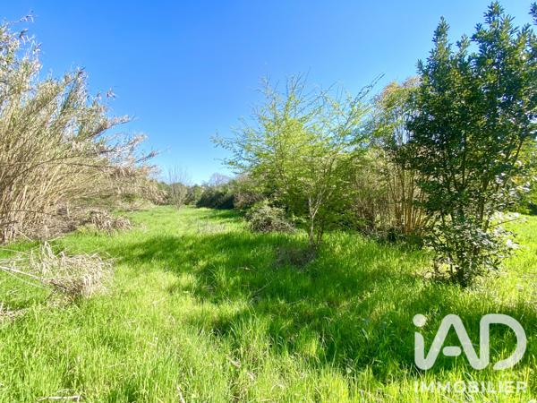 Maison à vendre 9 pièces 273 m² Lapalud