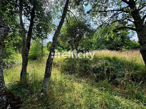 Terrain
        
        - 572 m² Exclusivité 63 000 € *