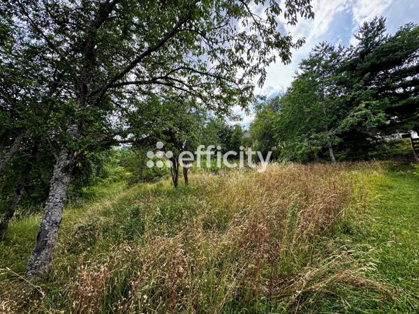 Terrain
        
        - 572 m² Exclusivité 63 000 € *
