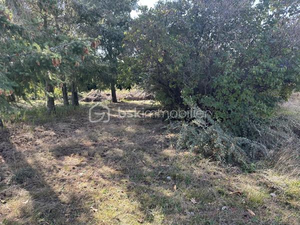 Terrain de loisirs de 1 476 m²