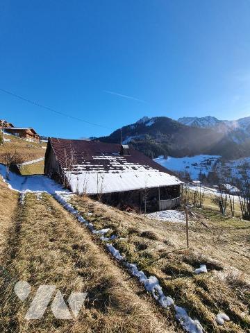 Ferme mitoyenne à rénover Abondance