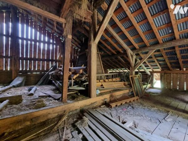 Ferme mitoyenne à rénover Abondance