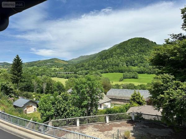Fonds et/ou murs commerciaux à vendre à Saint-Jacques-des-Blats dans le Cantal (15800), ref : 15046-16