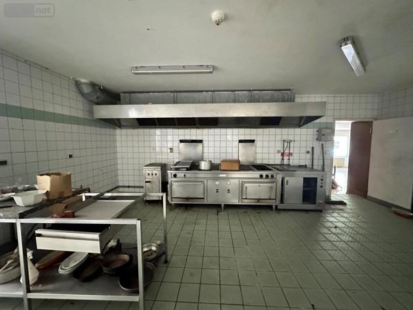 Fonds et/ou murs commerciaux à vendre à Saint-Jacques-des-Blats dans le Cantal (15800), ref : 15046-16