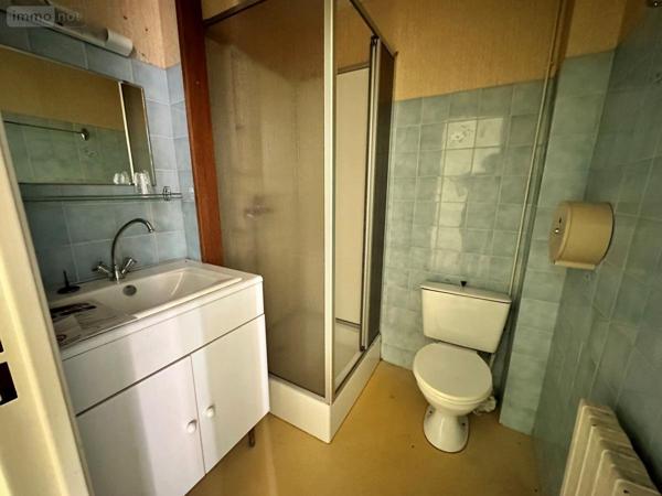 Fonds et/ou murs commerciaux à vendre à Saint-Jacques-des-Blats dans le Cantal (15800), ref : 15046-16