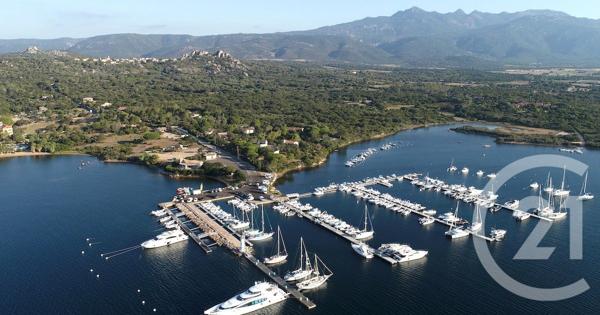 Maison à vendre  5 pièces - 162 m2 PIANOTOLLI CALDARELLO - 201