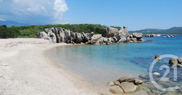 Maison à vendre  5 pièces - 162 m2 PIANOTOLLI CALDARELLO - 201