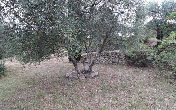 Maison à vendre    4 pièces •  Blausasc