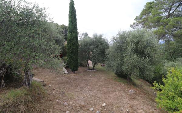 Maison à vendre    4 pièces •  Blausasc