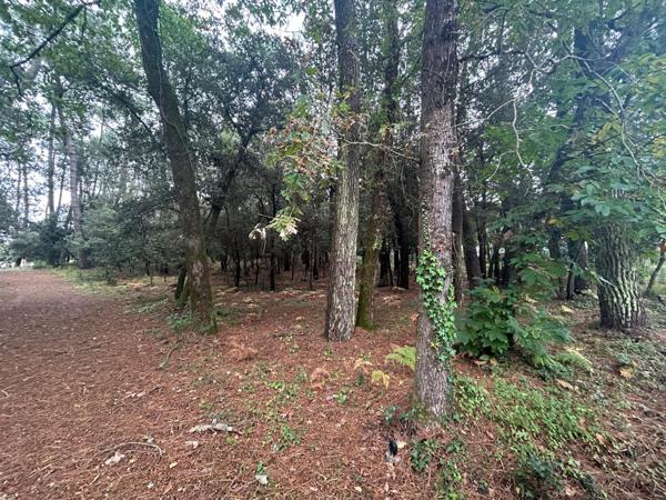 Opportunité rare sur le secteur